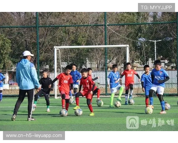 足球青训是否与高校体育教育资源形成共享关系，足球青训影响上学么